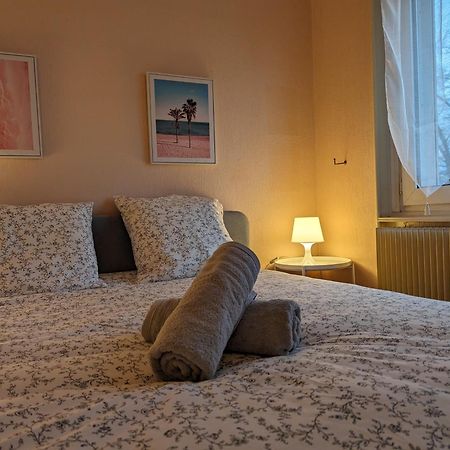 Le Balois - Appartement 2 Chambres, Salon, Cuisine Equipee, Parking Et Wifi Gratuit ミュルーズ エクステリア 写真