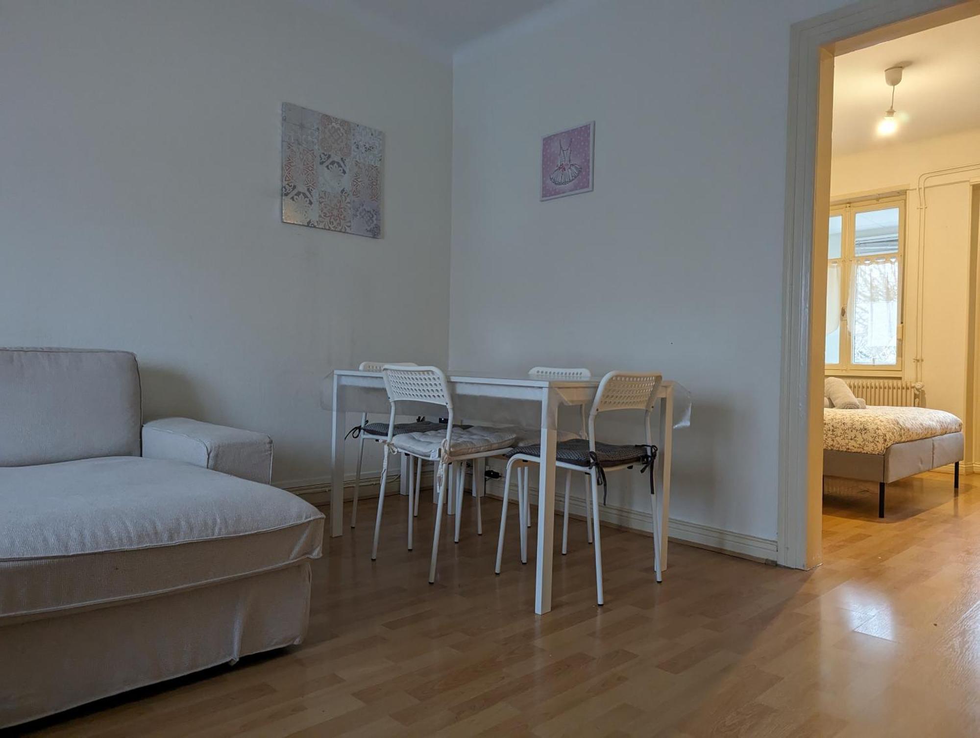 Le Balois - Appartement 2 Chambres, Salon, Cuisine Equipee, Parking Et Wifi Gratuit ミュルーズ エクステリア 写真